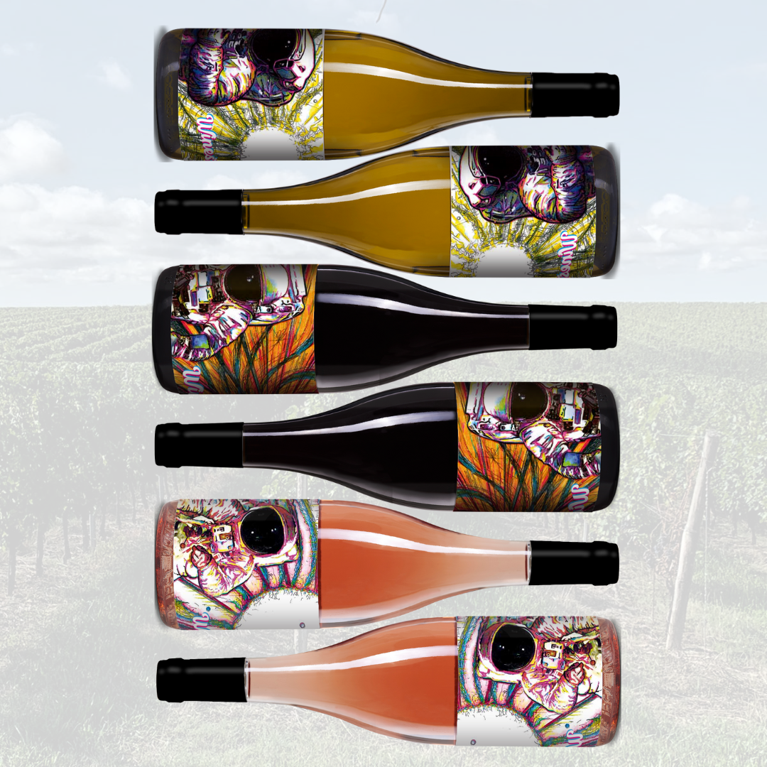 Winestellation Coffret découverte x 6 bouteilles