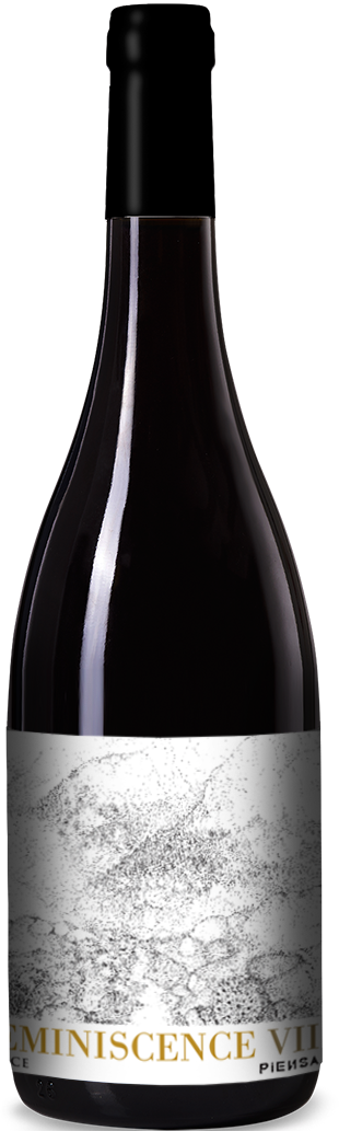 Réminiscence VII — Vin de France 2016 ~ Carton de 6 Bouteilles