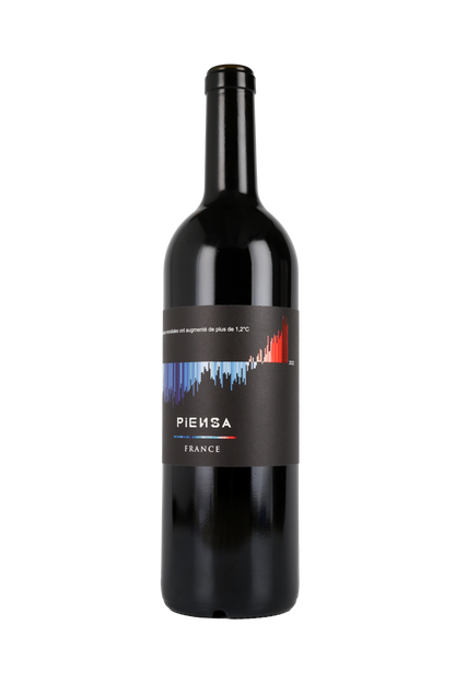 Warming Stripes by PIENSA Rouge
