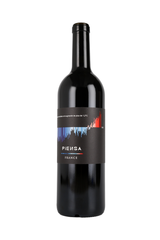 Warming Stripes by PIENSA Rouge