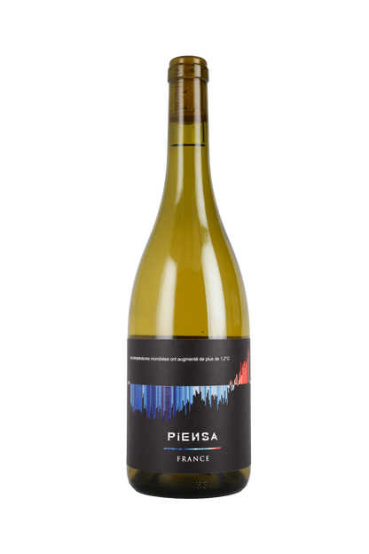 Warming Stripes by PIENSA Blanc Sec