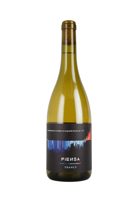 Warming Stripes by PIENSA Blanc Sec