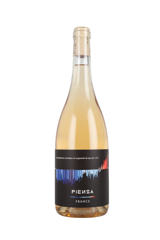 Warming Stripes by PIENSA Rosé