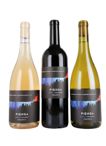 Warming Stripes by PIENSA Rouge