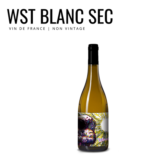 Winestellation Blanc Sec | Vin de France, Non Millésimé ~ Carton x 6 Bouteilles