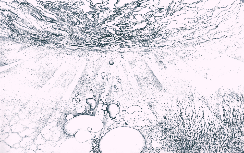 Réminiscence IX — Papier Peint