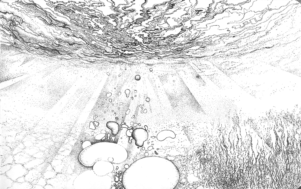 Réminiscence IX — Papier Peint