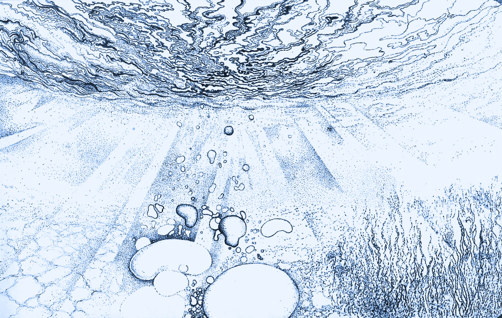 Réminiscence IX — Papier Peint