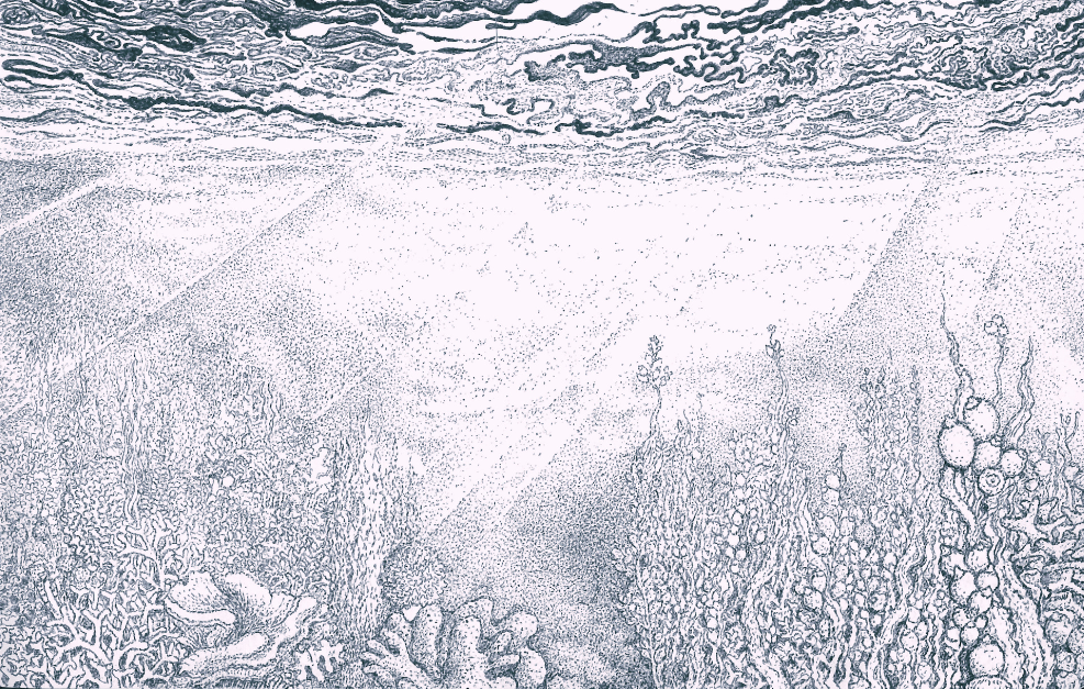 Réminiscence X — Papier Peint