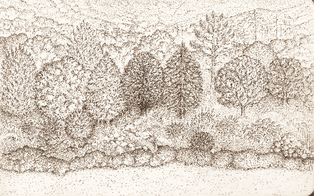 Réminiscence V — Papier Peint